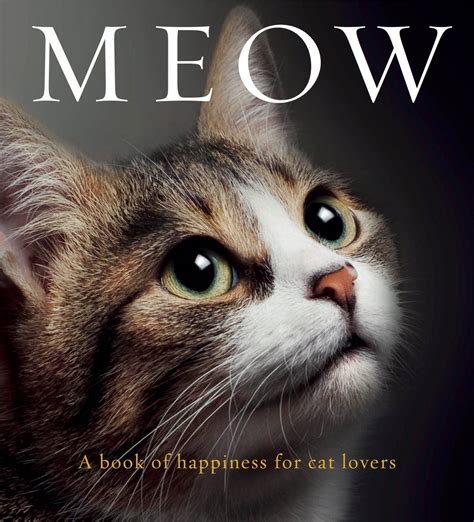 Book Of Cats Novibet